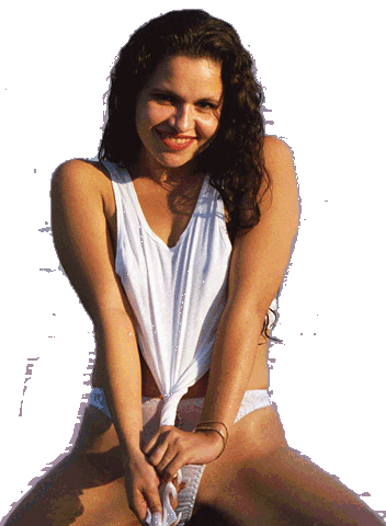 pic1.gif (62201 bytes)